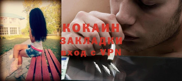 молекула духа Бородино