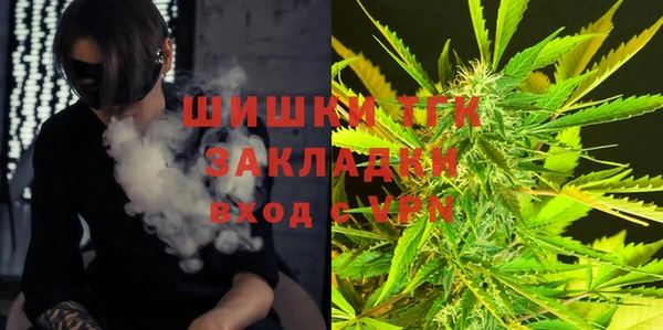 молекула духа Бородино