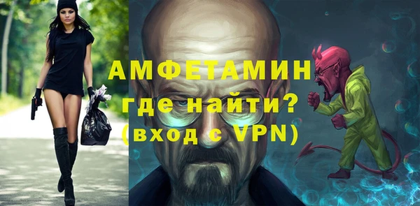 молекула духа Бородино