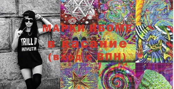 молекула духа Бородино