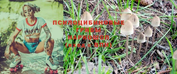 молекула духа Бородино