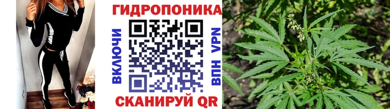 Шишки марихуана планчик Далматово